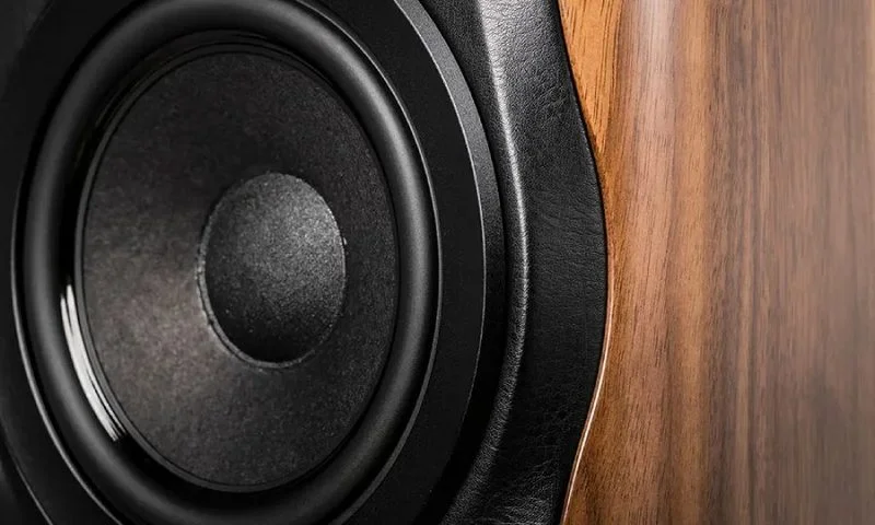 Sonus Faber systems installed by AV Connect