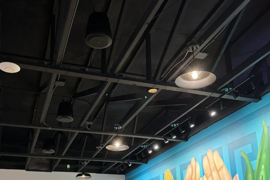 Distributed Audio by AV Connect in Austin, TX